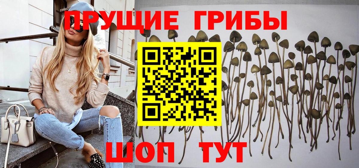 Псилоцибиновые грибы MAGIC MUSHROOMS  Вход с VPN  Чапаевск 